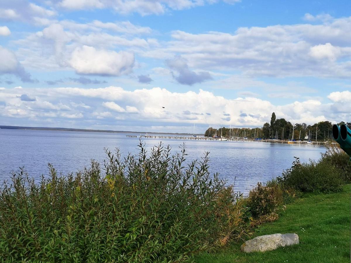 Seestern Mit Kleinem Suedbalkon, 100m Zum Steinhude